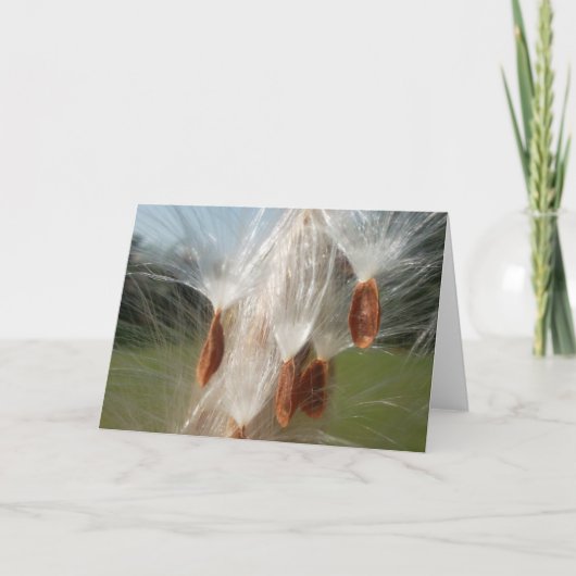 ヴィンテージ動植物ミルクウェズフローティング.jpg カード (正面)