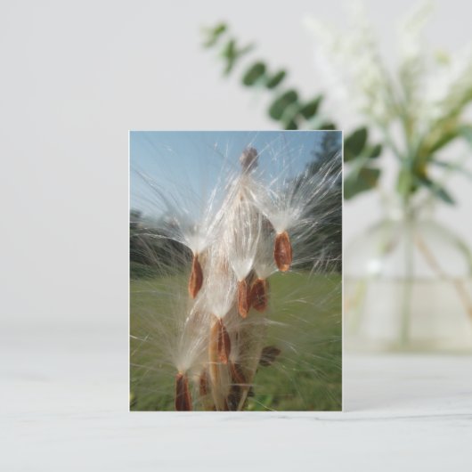 ヴィンテージ動植物ミルクウェズフローティング.jpg ポストカード (スタンド正面)