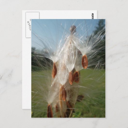 ヴィンテージ動植物ミルクウェズフローティング.jpg ポストカード (正面/裏面)