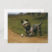 ヴィンテージ動物の犬、かわいいスコティッシュテリアパピー ポストカード (正面/裏面)