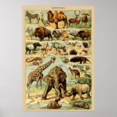 ヴィンテージ動物アートプリントアフリカ野生動物 ポスター (正面)