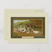 ヴィンテージ動物イラストレーションコンサルティングthe Oracle ポストカード (正面/裏面)