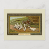 ヴィンテージ動物イラストレーションコンサルティングthe Oracle ポストカード (正面)