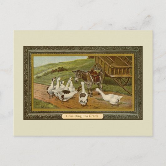 ヴィンテージ動物イラストレーションコンサルティングthe Oracle ポストカード (正面)