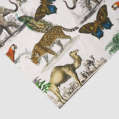 ヴィンテージ動物バイドルビニー 薄葉紙 (詳細)