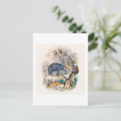 ヴィンテージ動物王国イラストレーション葉書 ポストカード (スタンド正面)