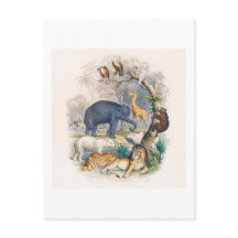 ヴィンテージ動物王国イラストレーション葉書