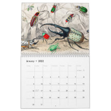 ヴィンテージ動物虫類魚動物学界