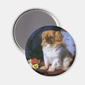 ヴィンテージ動物,おもちゃピーゲス子犬 マグネット (正面/裏面)