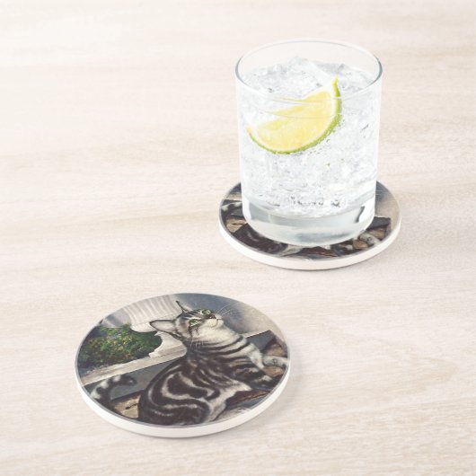ヴィンテージ動物，かわいいタビーキャットスナッドバタフライ コースター (側面)