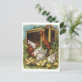 ヴィンテージ動物,オンドリ,鶏,鶏 ポストカード (スタンド正面)