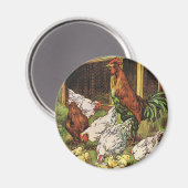 ヴィンテージ動物，オンドリ，鶏，鶏 マグネット (正面/裏面)