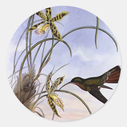 ヴィンテージ動物，ハミングバードバードオーキッド花 ラウンドシール (正面)