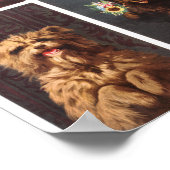 ヴィンテージ動物 ポスター (角)