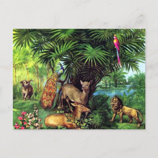 ヴィンテージ動物 ポストカード (正面)