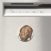 ヴィンテージ動物,豚の食べの谷底 マグネット (インサイチュ (食洗機))