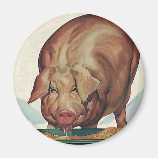 ヴィンテージ動物,豚の食べの谷底 マグネット (正面)