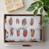 ヴィンテージ化カニとカニの爪 薄葉紙 (ギフト)