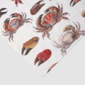 ヴィンテージ化カニとカニの爪 薄葉紙 (詳細)