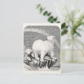 ヴィンテージ北極熊1800年代北極熊イラストレーション ポストカード (スタンド正面)