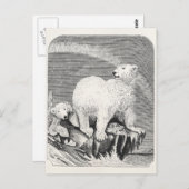 ヴィンテージ北極熊1800年代北極熊イラストレーション ポストカード (正面/裏面)
