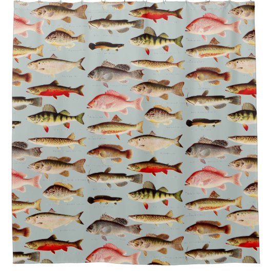 ヴィンテージ北米の魚のパターン シャワーカーテン (正面)