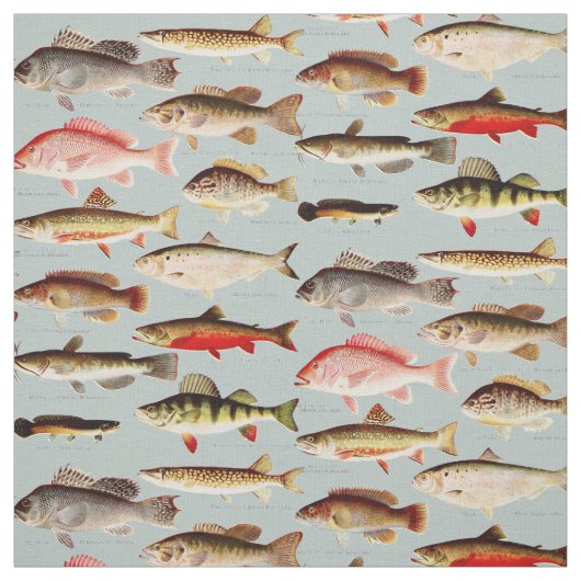 ヴィンテージ北米の魚のパターン ファブリック (見本)