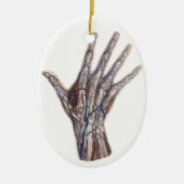 ヴィンテージ医学、人間の解剖学的手指 セラミックオーナメント (正面)