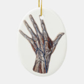 ヴィンテージ医学、人間の解剖学的手指 セラミックオーナメント (裏面)