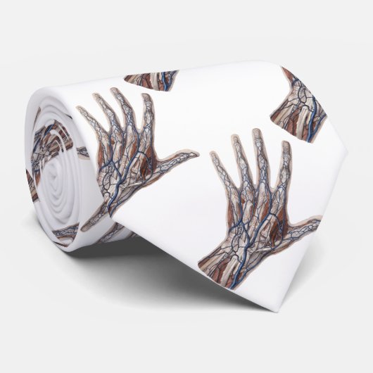 ヴィンテージ医学、人間の解剖学的手指 ネクタイ (ロール)
