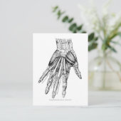 ヴィンテージ医療スケッチの手の筋肉 ポストカード (スタンド正面)