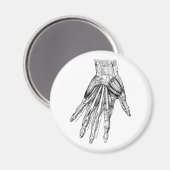 ヴィンテージ医療スケッチの手の筋肉 マグネット (正面/裏面)