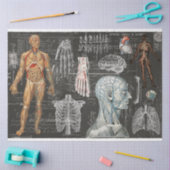 ヴィンテージ医療体ゴシックティッシュペーパー 薄葉紙 (クラフト)