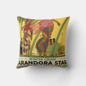 ヴィンテージ南アフリカブルースター装飾用クッション クッション (裏面)