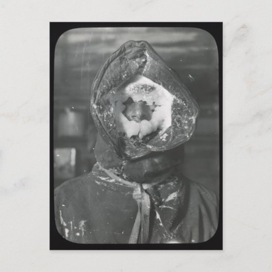 ヴィンテージ南極遠征はがき ポストカード (正面)