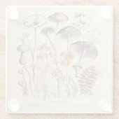 ヴィンテージ博物学者 ガラスコースター (裏面)