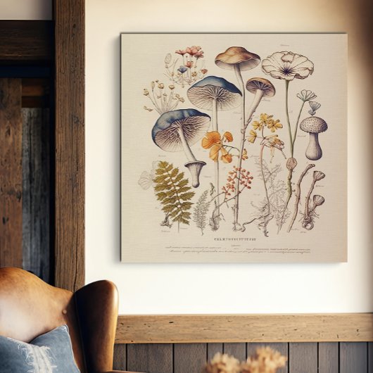 ヴィンテージ博物学者 キャンバスプリント