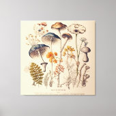 ヴィンテージ博物学者 キャンバスプリント (正面)