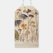 ヴィンテージ博物学者 ギフトタグ (正面)