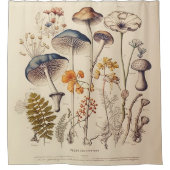 ヴィンテージ博物学者 シャワーカーテン (正面)