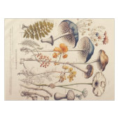 ヴィンテージ博物学者 テーブルクロス (正面(横))