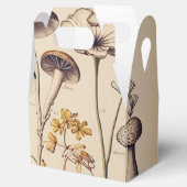 ヴィンテージ博物学者 フェイバーボックス (オープン)