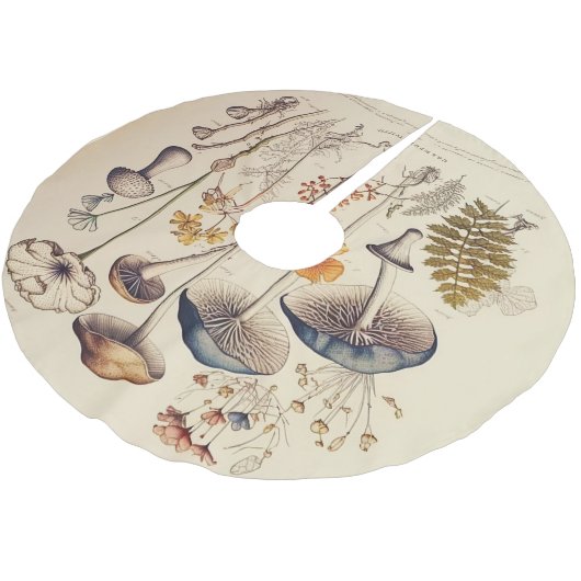 ヴィンテージ博物学者 ブラッシュドポリエステルツリースカート (アングル)