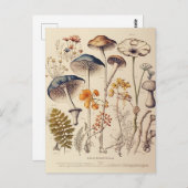 ヴィンテージ博物学者 ポストカード (正面/裏面)