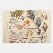 ヴィンテージ博物学者 ラッピングペーパーシート (正面)