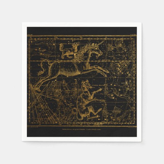 ヴィンテージ占星術の一角 スタンダードカクテルナプキン (正面)