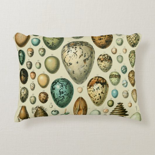 ヴィンテージ卵フランスの魚の卵アート アクセントクッション (正面)
