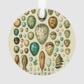 ヴィンテージ卵フランスの魚の卵アート オーナメント (裏面)