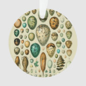 ヴィンテージ卵フランスの魚の卵アート オーナメント (正面)