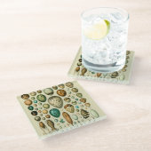 ヴィンテージ卵フランスの魚の卵アート ガラスコースター (アングル)